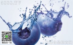 欧诺华破壁机漏水维修蓝带猪排