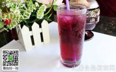欧诺华破壁料理机维修电话苹果雪梨猪骨汤
